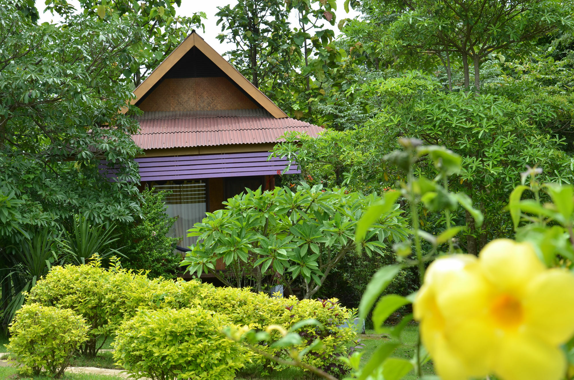 Romantic Time Mountain Resort Pai Eksteriør bilde
